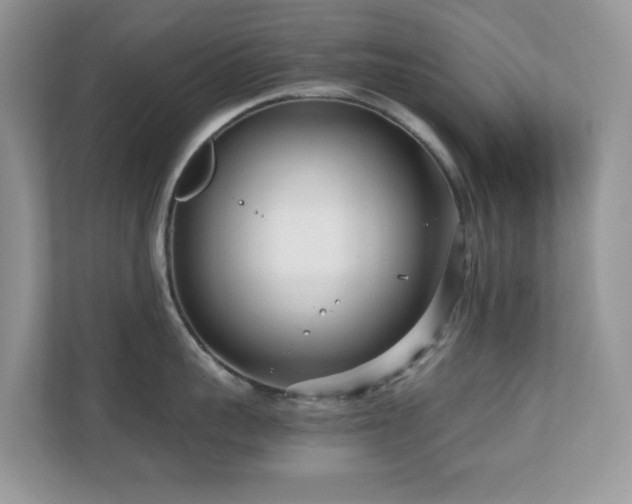 X0000110730959200906121446