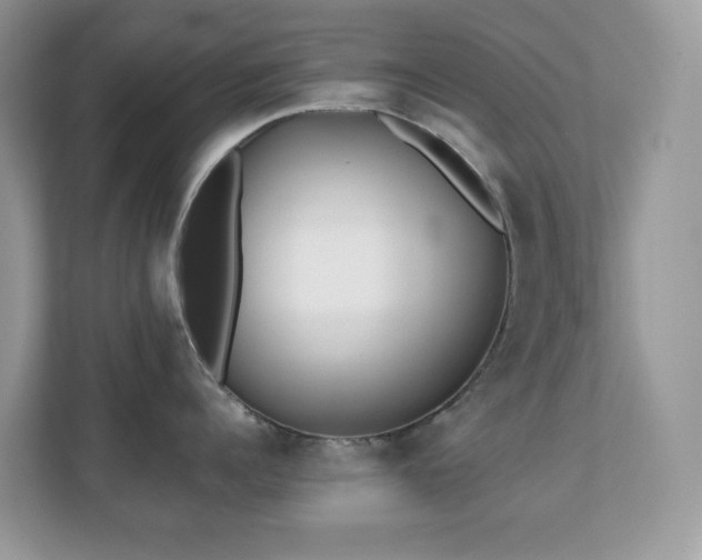 X0000110730960200906121446