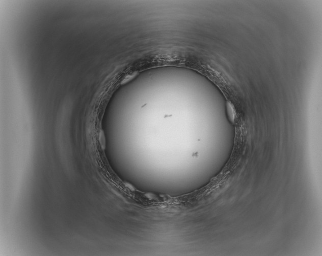 X0000110730961200906121445