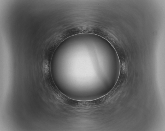 X0000110730963200906121445