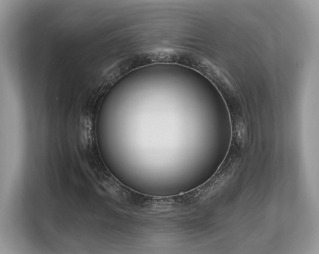 X0000110730964200906121445