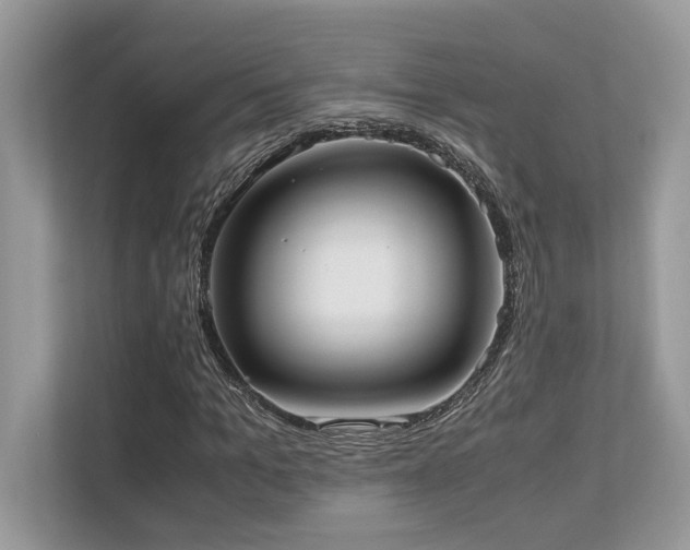 X0000110730965200906121445