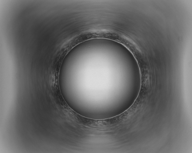 X0000110730966200906121445