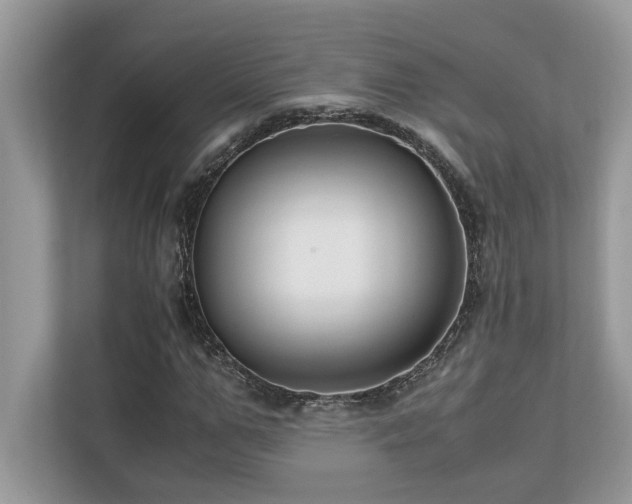 X0000110730967200906121445