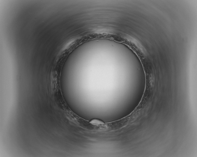 X0000110730968200906121445