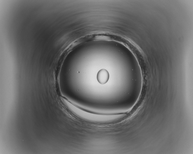 X0000110730969200906121445