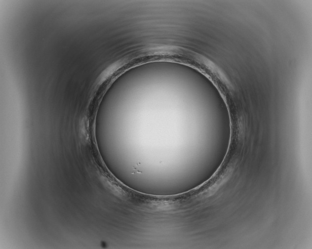 X0000110730970200906121445