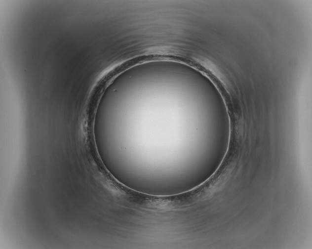 X0000110730971200906121445