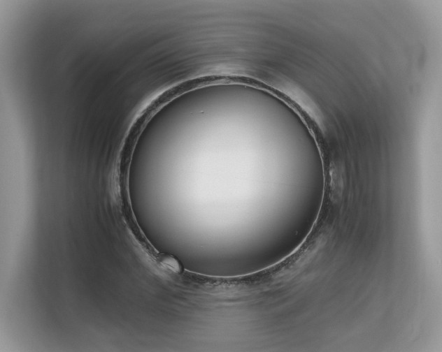 X0000110730972200906121445