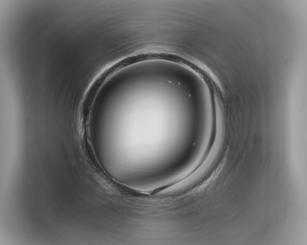 X0000110730973200906121445