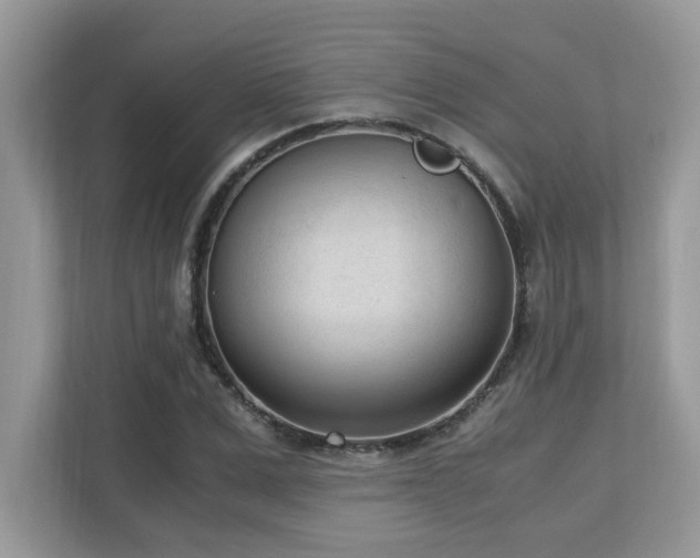 X0000110730975200906121445