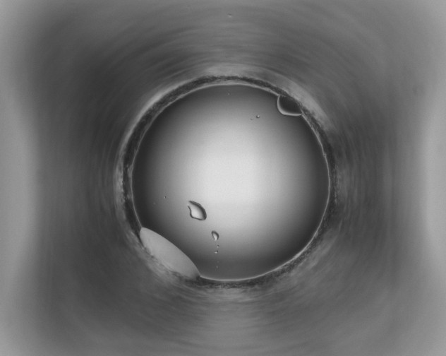 X0000110730976200906121445