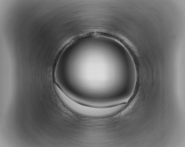 X0000110730977200906121445