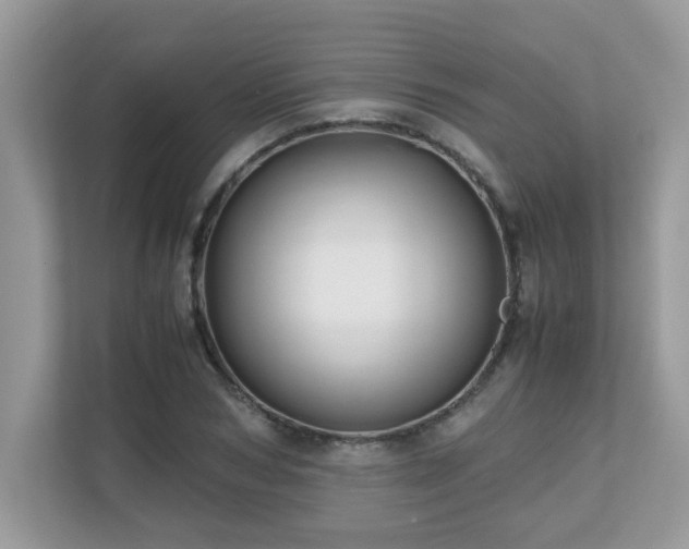 X0000110730978200906121445
