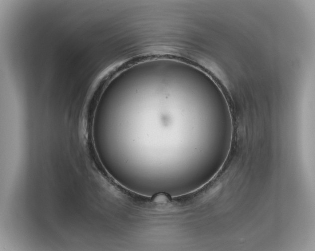 X0000110730979200906121445