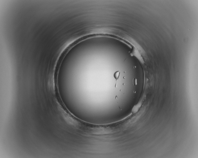 X0000110730980200906121445