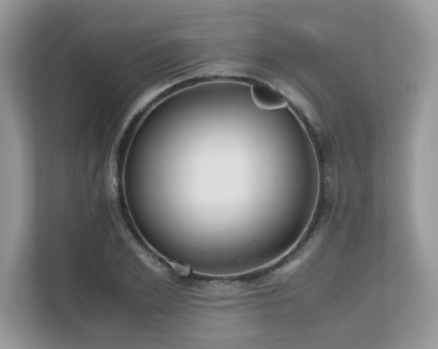 X0000110730981200906121445