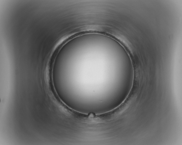 X0000110730983200906121445