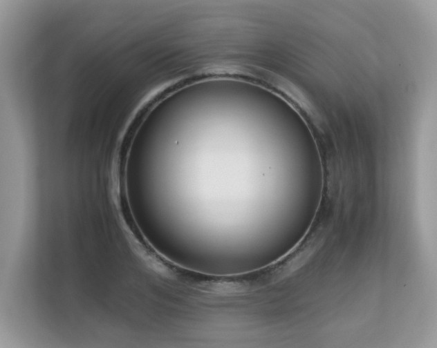 X0000110730984200906121445