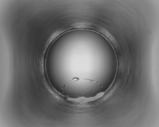 X0000110730986200906121445