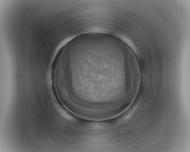 X0000110730987200906121445