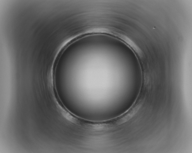 X0000110730988200906121445