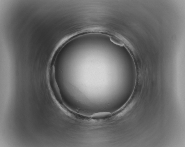X0000110730989200906121445