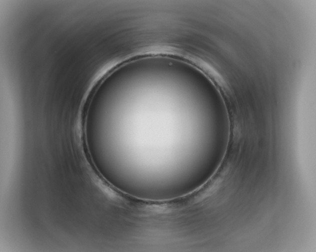 X0000110730990200906121445