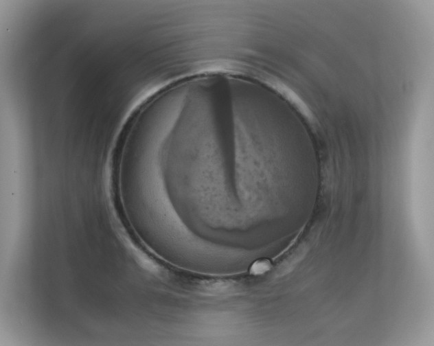 X0000110730991200906121445