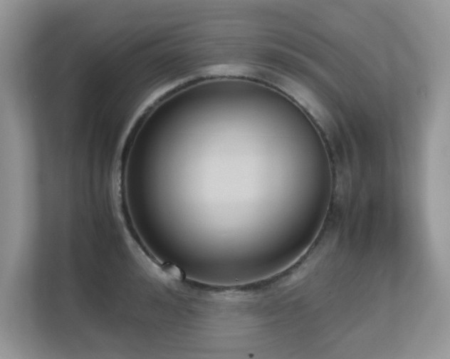 X0000110730992200906121445