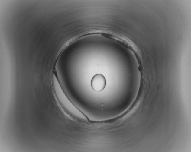 X0000110730993200906121445