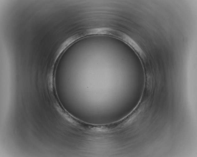 X0000110730994200906121445