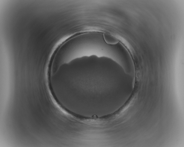 X0000110730995200906121445