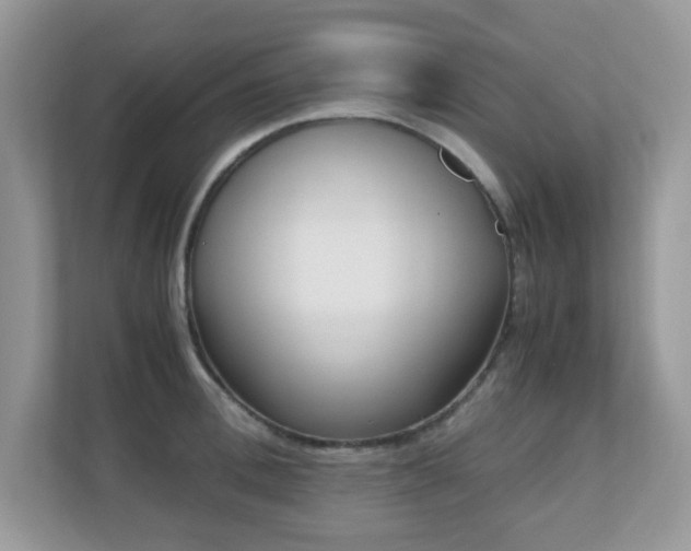 X0000110730996200906121445