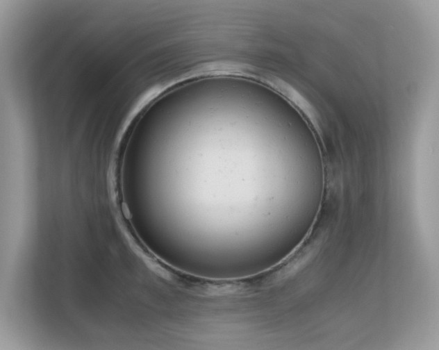 X0000110730997200906121445