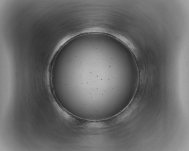 X0000110730998200906121445