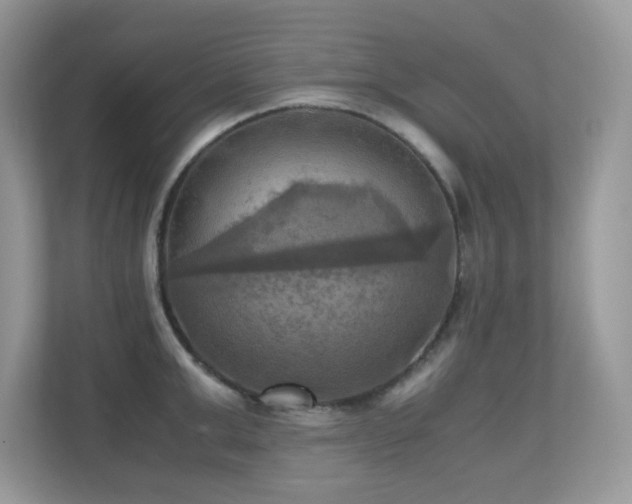X0000110730999200906121445