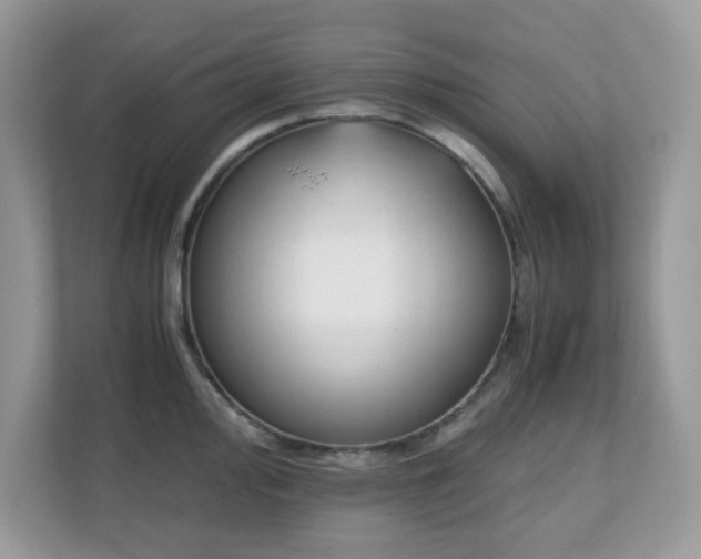 X0000110731000200906121445