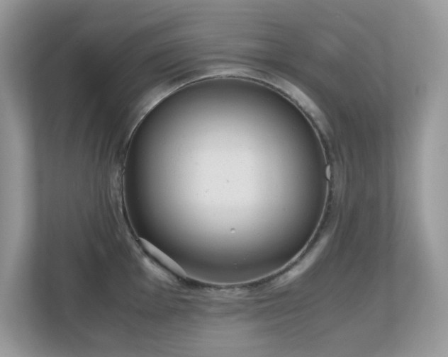 X0000110731001200906121445