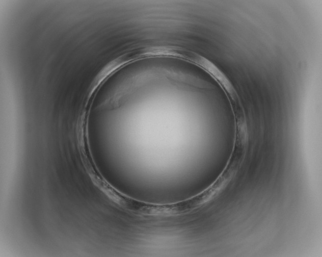 X0000110731002200906121445