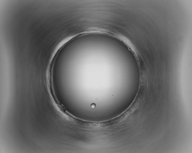 X0000110731003200906121444