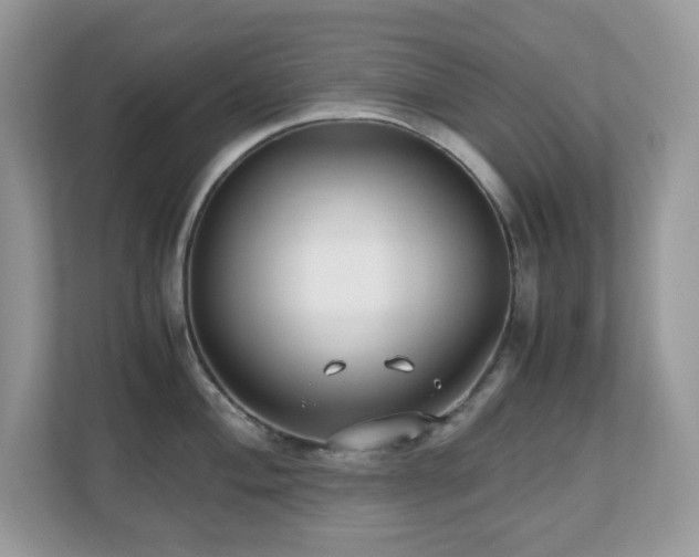 X0000110731004200906121444