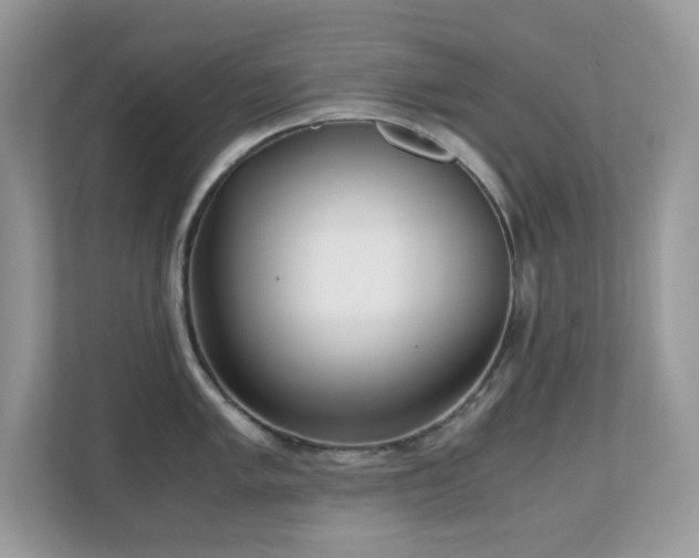 X0000110731005200906121444