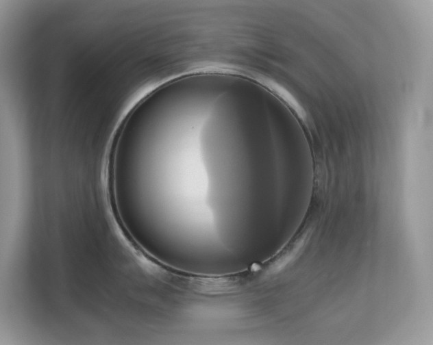X0000110731007200906121444