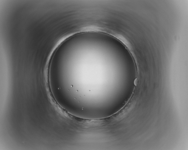 X0000110731008200906121444