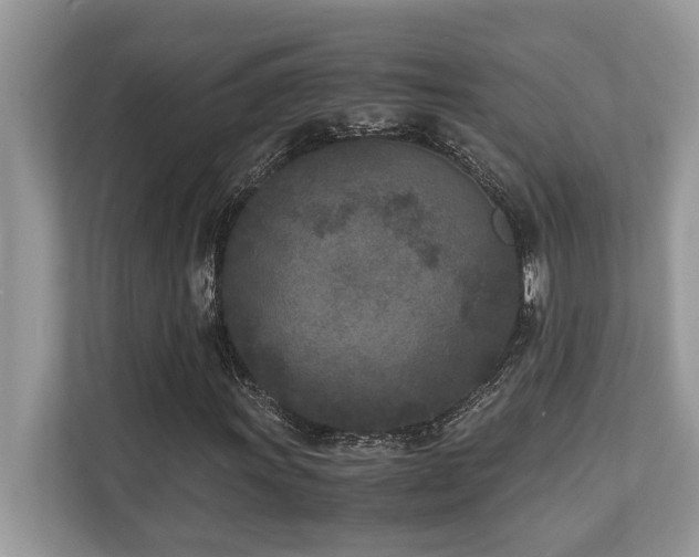 X0000110731011200906121444