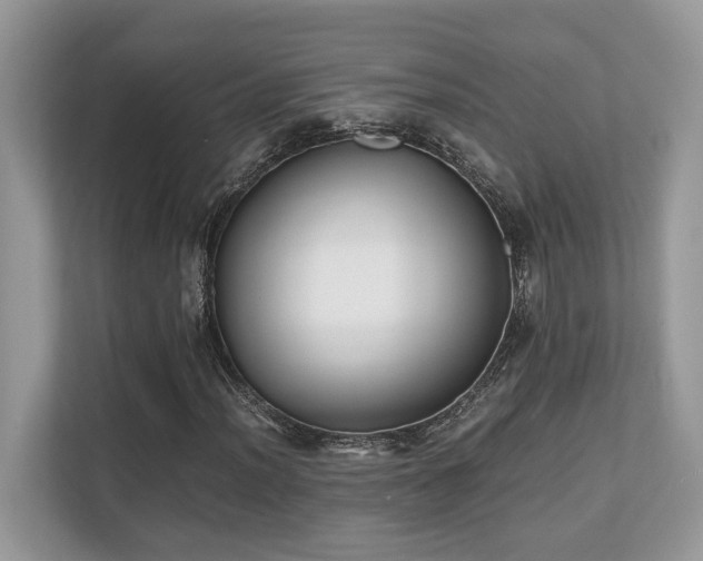 X0000110731012200906121444