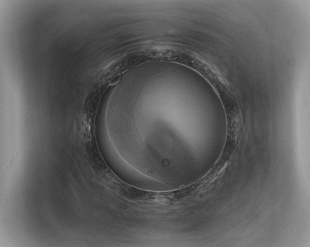X0000110731013200906121444