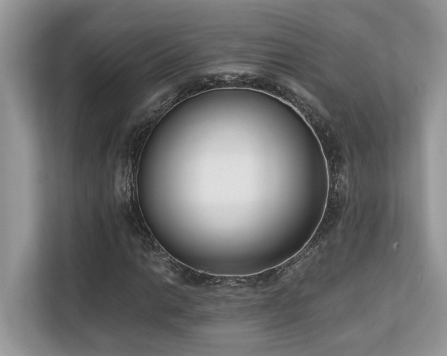 X0000110731014200906121444