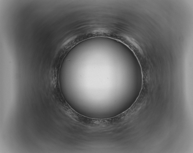 X0000110731015200906121444